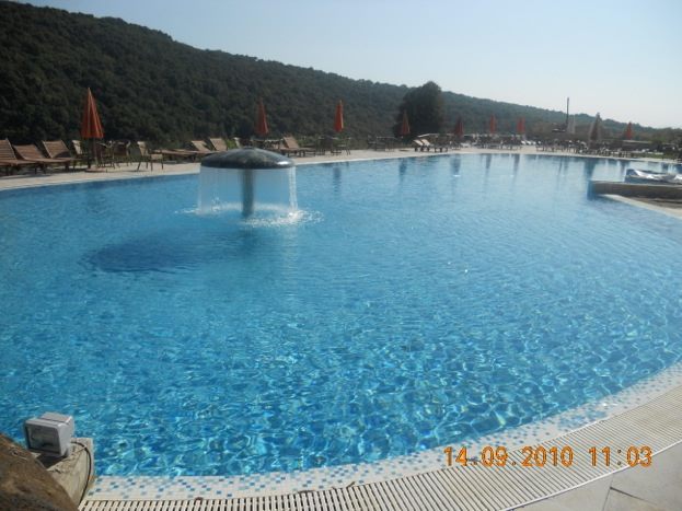 1795547_257892534391575_153983298_n